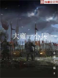 大雍一小兵封面